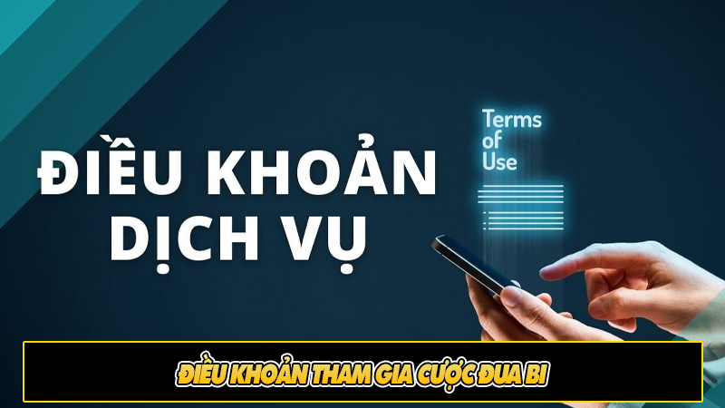 Điều khoản tham gia cược đua bi